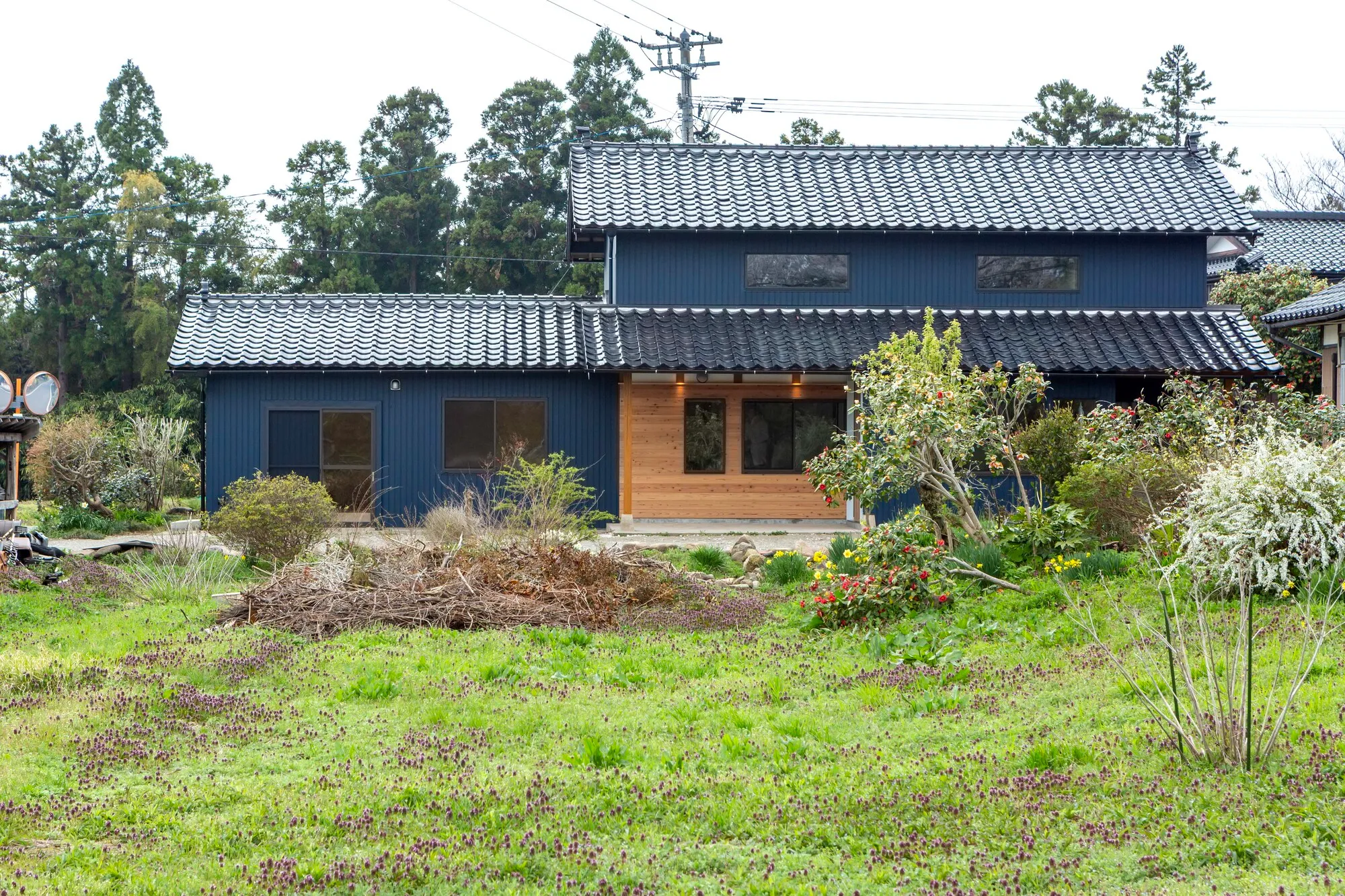 背景画像 3