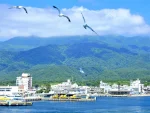 佐渡移住事例：Uターン